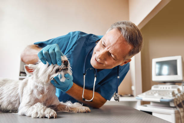 Best Urgent Care for Lost Fillings or Crowns in Southgate, FL